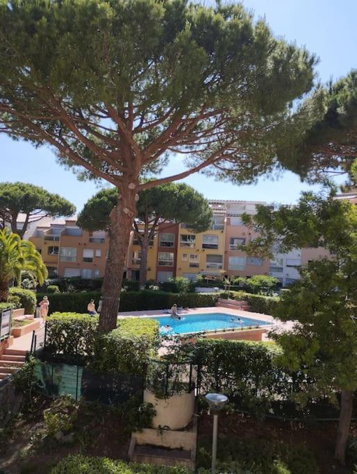 Studio 4 Couchages Avec Piscine D'Ete Vue Port Agde Luaran gambar